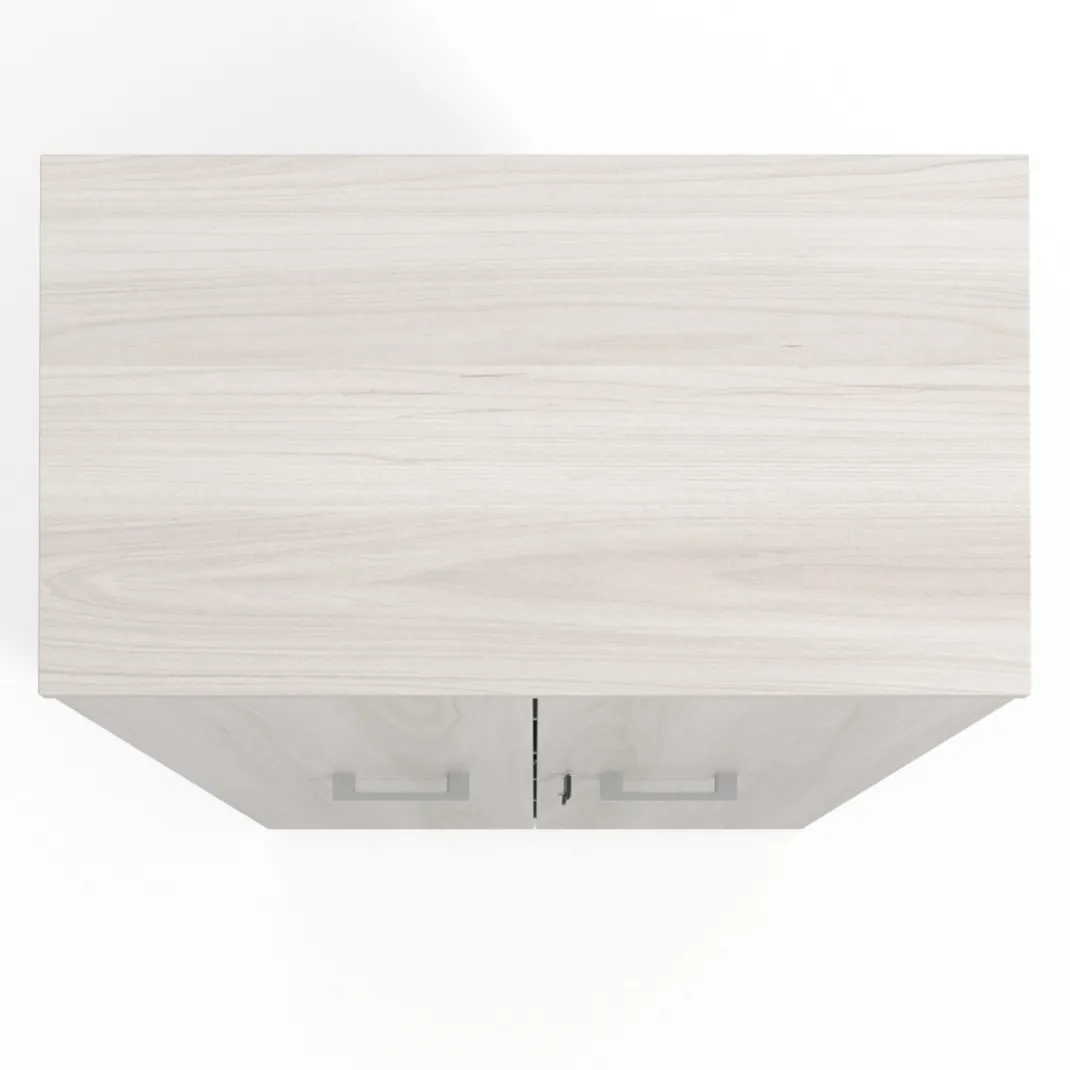 Armario de oficina Basic con puerta alta, medida 193x80
