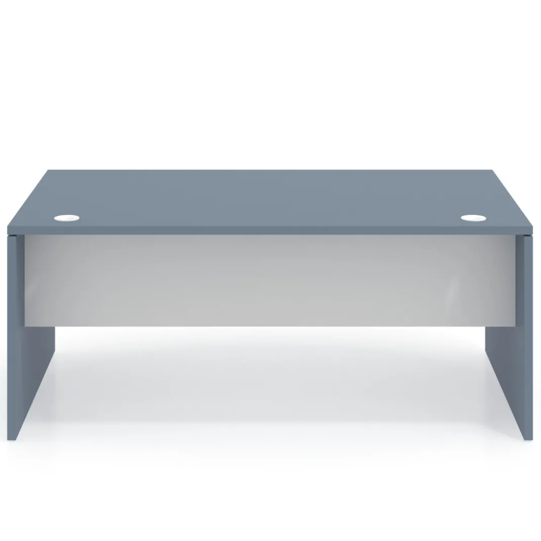 Mesa de Dirección Work Plus fondo 100 diseño bicolor