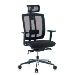 Silla de oficina Ergomax, premium, espuma inyectada con reposacabezas