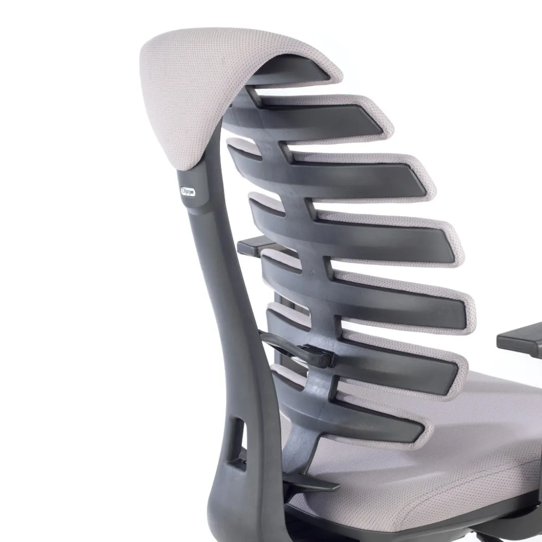 Silla de oficina ergonómica Spine