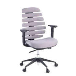 Silla de oficina ergonómica Spine