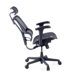 Silla de oficina Ergonomica IOO, soporte lumbar