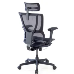 Silla de oficina Ergonomica IOO, soporte lumbar