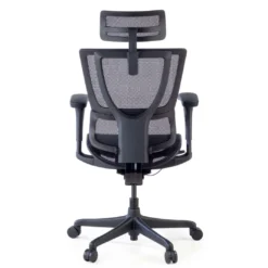 Silla de oficina Ergonomica IOO, soporte lumbar