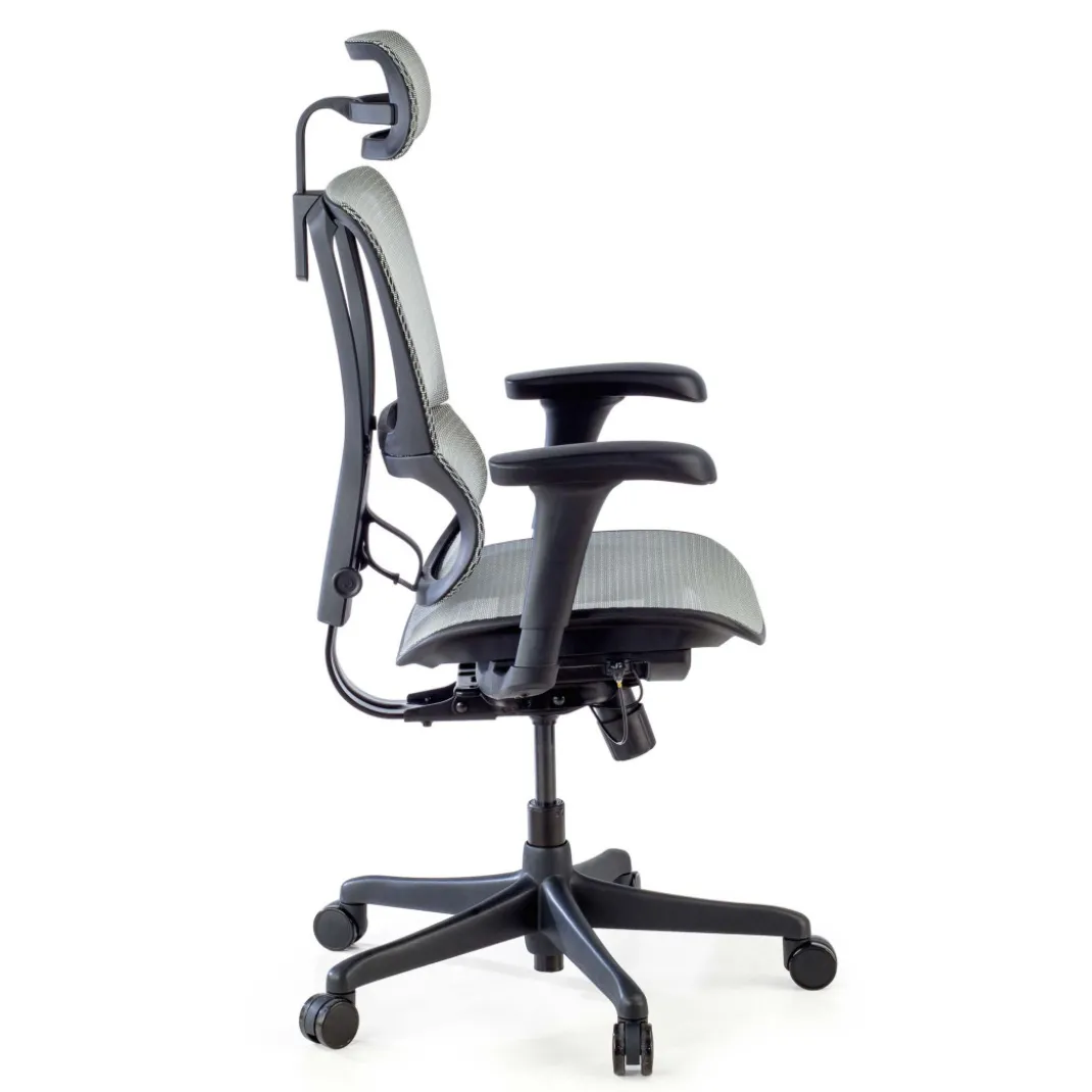Silla de oficina Ergonomica IOO, soporte lumbar