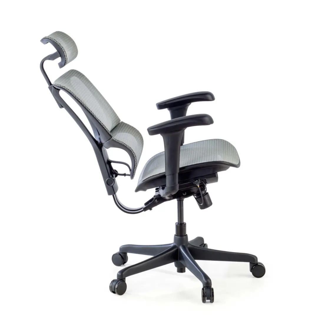 Silla de oficina Ergonomica IOO, soporte lumbar