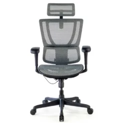 Silla de oficina Ergonomica IOO, soporte lumbar