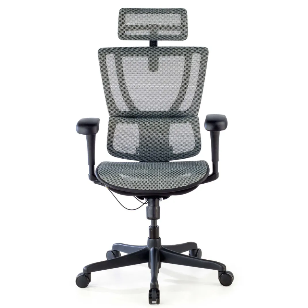 Silla de oficina Ergonomica IOO, soporte lumbar