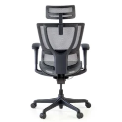 Silla de oficina Ergonomica IOO, soporte lumbar