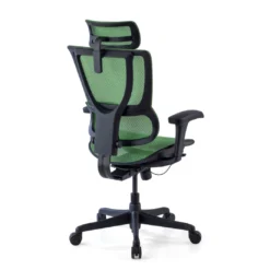 Silla de oficina Ergonomica IOO, soporte lumbar