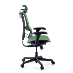 Silla de oficina Ergonomica IOO, soporte lumbar