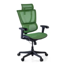 Silla de oficina Ergonomica IOO, soporte lumbar