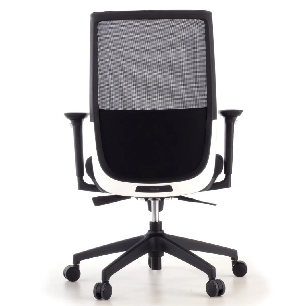 Silla de oficina Wind, respaldo ergonómico, brazos 3D, red