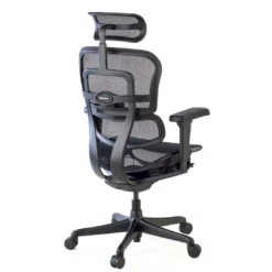Silla Ergohuman Ultra Black Carbon Edition