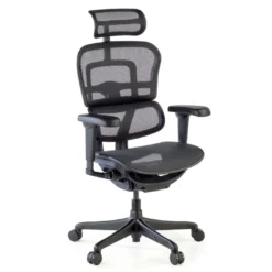 Silla Ergohuman Ultra Black Carbon Edition