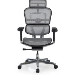 Silla ergonómica Ergohuman Elite, estructura negra