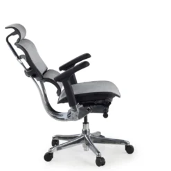 Silla ergonómica Ergohuman Elite, estructura negra