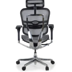 Silla ergonómica Ergohuman Elite, estructura negra