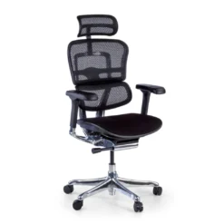 Silla Ergonómica Ergohuman Elite, asiento tapizado, estructura negra