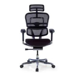 Silla Ergonómica Ergohuman Elite, asiento tapizado, estructura negra