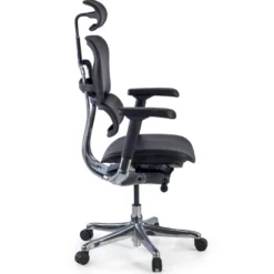Silla Ergonómica Ergohuman Elite, piel natural