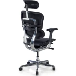 Silla Ergonómica Ergohuman Elite, piel natural