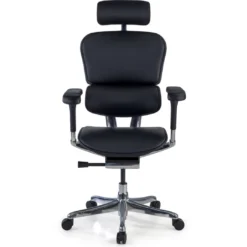 Silla Ergonómica Ergohuman Elite, piel natural