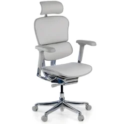 Silla Ergonómica Ergohuman Elite, piel natural
