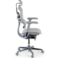 Silla Ergonómica Ergohuman Elite, piel natural