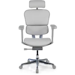 Silla Ergonómica Ergohuman Elite, piel natural