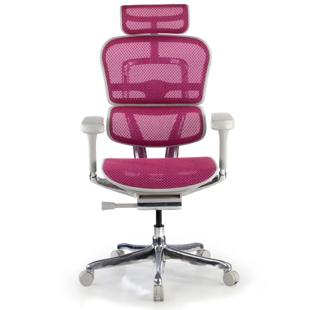 Silla ergonómica Ergohuman Elite, estructura blanca