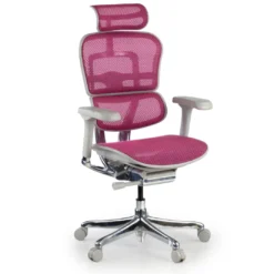 Silla ergonómica Ergohuman Elite, estructura blanca
