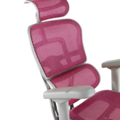 Silla ergonómica Ergohuman Elite, estructura blanca