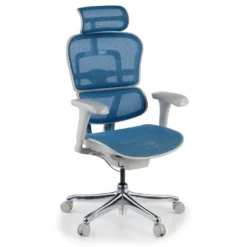 Silla ergonómica Ergohuman gen2, estructura gris