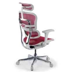 Silla ergonómica Ergohuman gen2, estructura gris