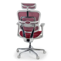 Silla ergonómica Ergohuman gen2, estructura gris