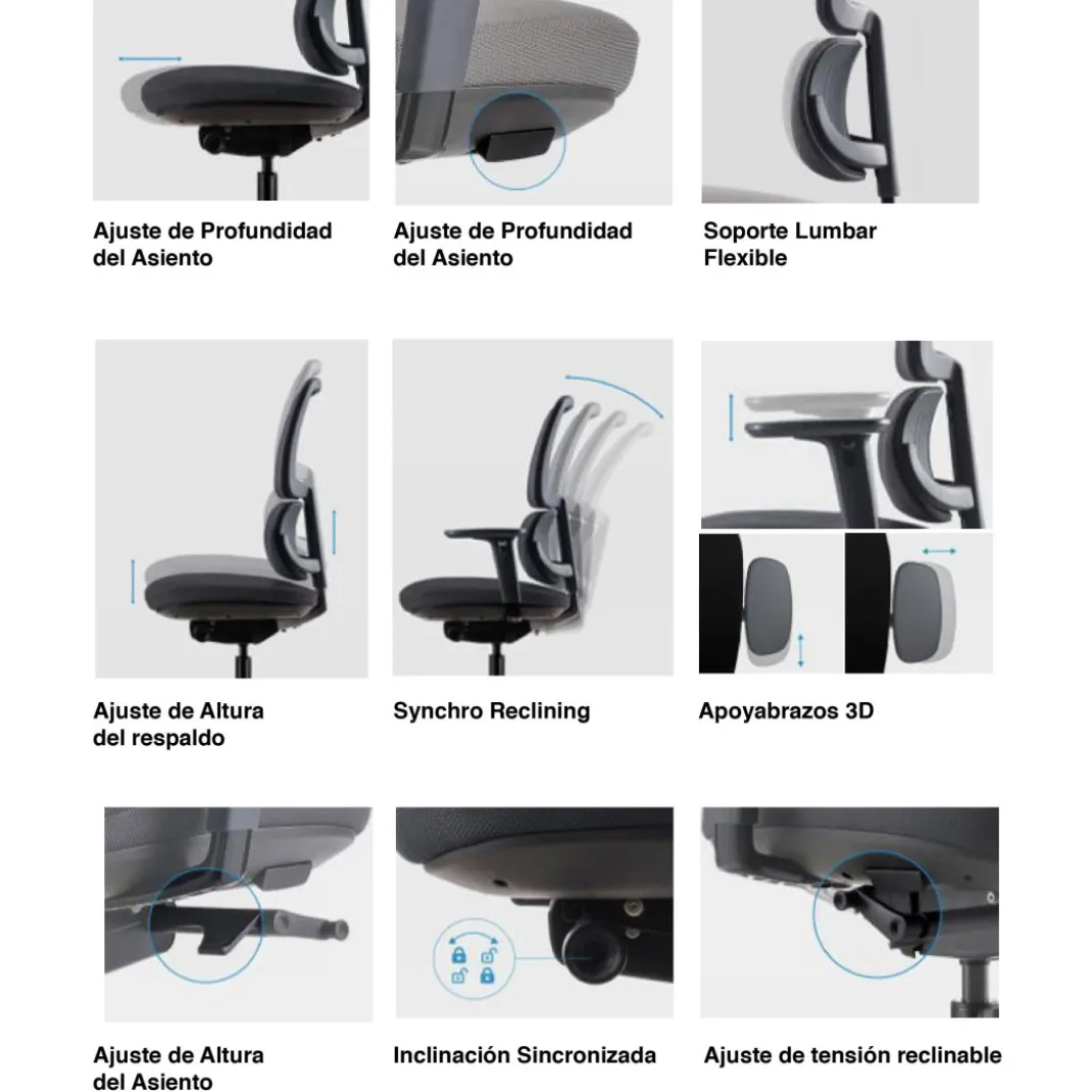Silla ergonomica Focus, reposacabezas, doble cojin lumbar