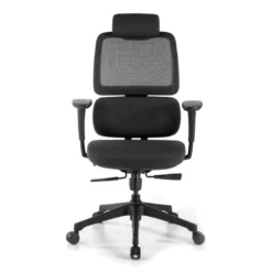Silla ergonomica Focus, reposacabezas, doble cojin lumbar